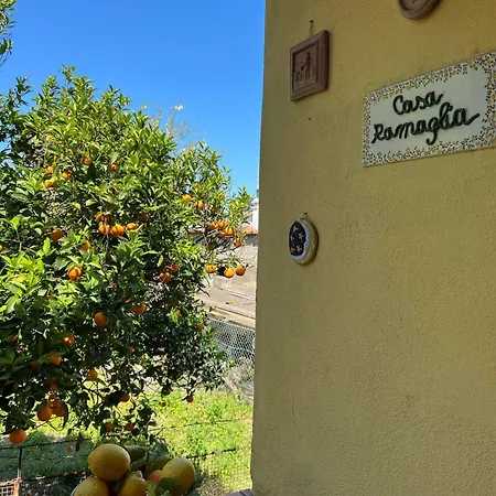 Casa Ramaglia Tra Mare E Monti 度假居