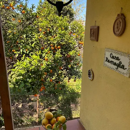 度假居 Casa Ramaglia Tra Mare E Monti 卡萨米乔拉泰尔梅